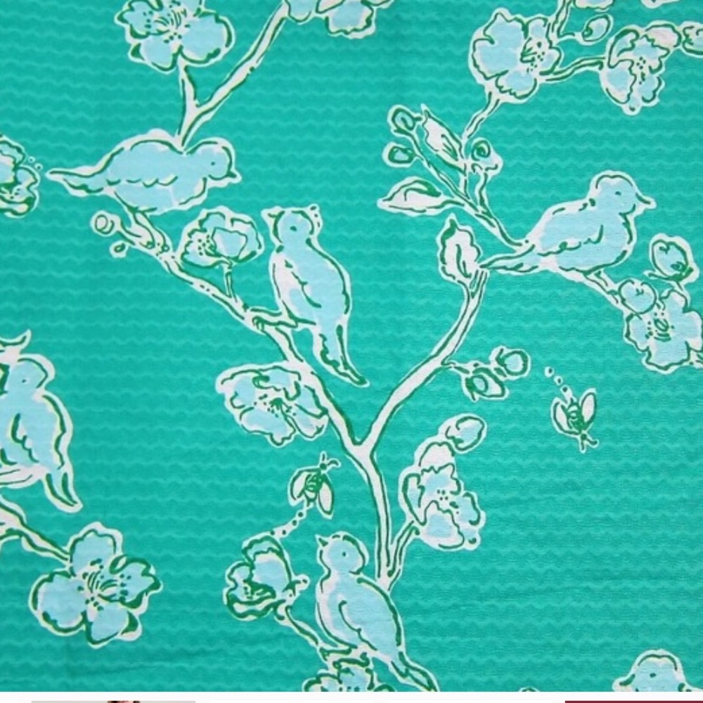 Lilly Pulitzer Green Lagoon Birds & Bees Jacquard ADELIA Shift Dress - Picture 4 of 16